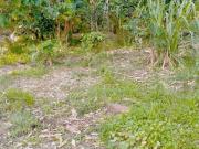 5000sqm Agriculture Lot for sale in Tamugan, Davao,...