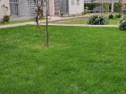 $ 490.000 Departamento en Arriendo en Rancagua 2... $ 490.000 Departamento en Arriendo en Rancagua 2...