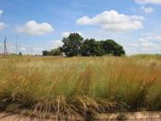 500 m² Land available in Rayton