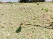 500 m² Land available in Rayton