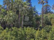 500 mètres croisette Terrasse exposée au sud Standing