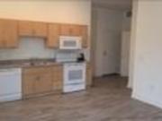 500 North 17th Street 1 Bedroom Apartment for Rent at...