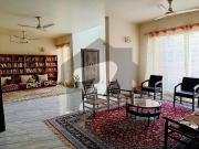 500 Sq Yard Bungalow available for Rent | DHA Phase 8