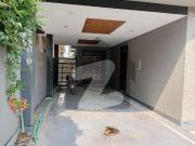 500 Sq Yards House Available For Rent in E11/3 Multi E 11/3