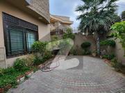 500 Sq. Yards. Well Maintained Luxurious Bungalow For...