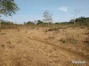 500 sqm Lot For Sale in Songculan Dauis Bohol