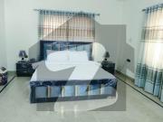 500 Square Yard Fully Furnished House Available For Rent...