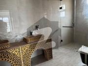 500 Square Yard House Available For Rent At DHA Phase 8