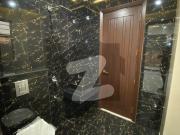 500 Square Yards 5 Bedrooms Luxurious Private...