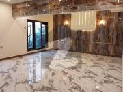 500 Yard Brand New Bungalow Available For Rent In DHA...