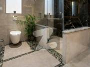 500 Yard Bungalow For Rent DHA Phase 6