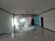 500 Yard Well Maintained Bungalow For Rent In DHA Phase 5