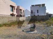 500 yards available for sale