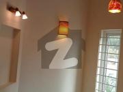 500 Yards Bungalow For Sale In Phase 8 DHA Phase 8