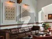 500 Yards Commercial / Office Use Bungalow For Rent...