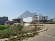 500 Yards LUCRATIVE Sahil Street Deal Don'T Miss The...