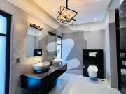 500 Yards Unused Newly Furnished Designer House DHA Phase 6