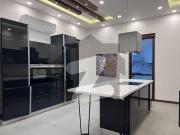 500 Yrds Used Beautiful Bungalow With Lift Pool Basement...