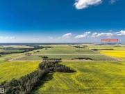 50242 Rge Road 260, Rural Leduc County, AB, T9G 0K7...