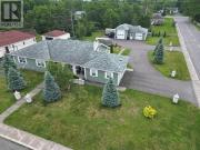 50 Thomas Street, Grand Falls Windsor, NL, A2A 2V6 house...