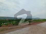50x90 corner muree facing plot for sale plot 90 series