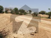 50x90 Possession Sun Face Plot G 16 Reasonable Price