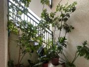 $ 520.000 Departamento en Arriendo en La Serena 3...