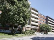 525 St. Lawrence Street 1 Bedroom Apartment for Rent at...