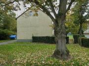 52 m2 apartment for rent in Gelsenkirchen