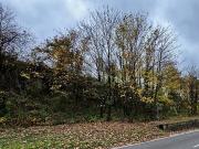 531QM EXKLUSIVES MOSELGOLDSTÜCK IN BESTLAGE