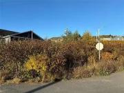 53 Badbird Boulevard, Bay Roberts, NL, A0A 1G0 vacant...