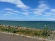 53 Harbour Road, Ballyhalbert, BT22 1BW