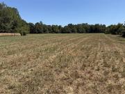 540 Becam Rogers Rd, Greensburg, KY 42743