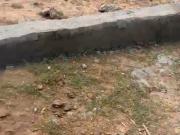 543 Sq.Ft. Plot in Noida Central Noida Listing ID #8714