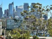 5/50 Darling Point Road Street, Darling Point Apartment...