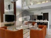 550 Sq. Yards Luxury Owner Built House With Swimming...