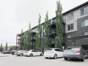 5515 7 AV SW #127 5515 7 AV SW #127