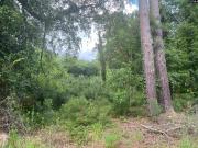 5552 Bluff Road