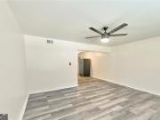 559 Evergreen Terrace