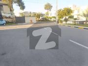 55 By 40 Huge Front Near Japan Road