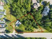 55 Castle Mountain Road, Fernie, BC, V0B 1M4 vacant land...