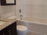 55 Charles St W 2 Bedroom Apartment for Rent at 55...