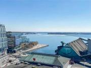 55 Cooper Street 22 Apartment for Rent