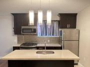 55 Murray Street Apartments for Rent 55 Murray St W...