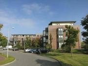 55 park ridge grange rath drogheda louth