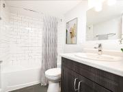55 Park Street East 1 Bedroom Apartment for Rent at 55...