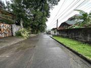 560 sqm Vacant Lot area for Sale in Capitol Homes,...