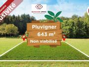 56330 PLUVIGNER Terrain constructible d'environ...