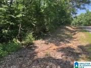 5731 LYNNS XING RD # 1LOT, GRAYSVILLE, AL 35073