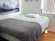 57341715 217 Beverley Street